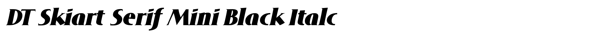 DT Skiart Serif Mini Black Italc image